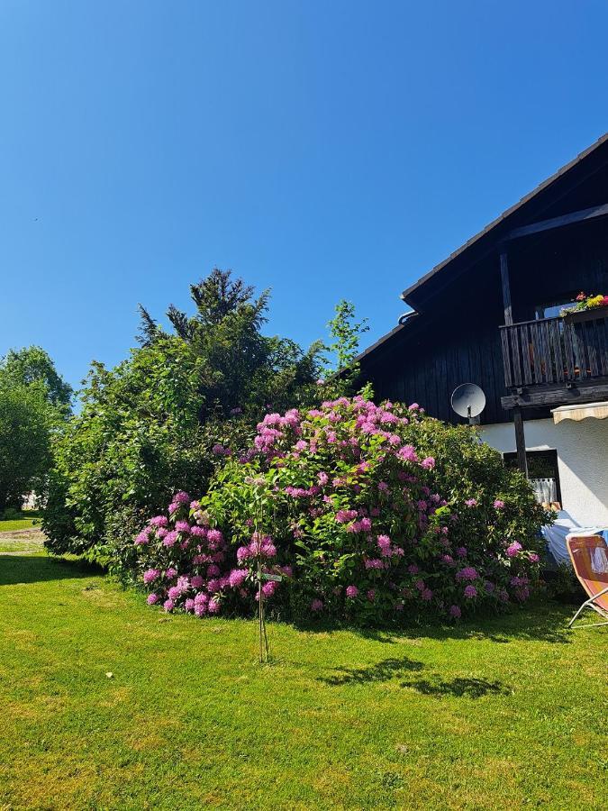 Ferienwohnung Martin Thalfang エクステリア 写真
